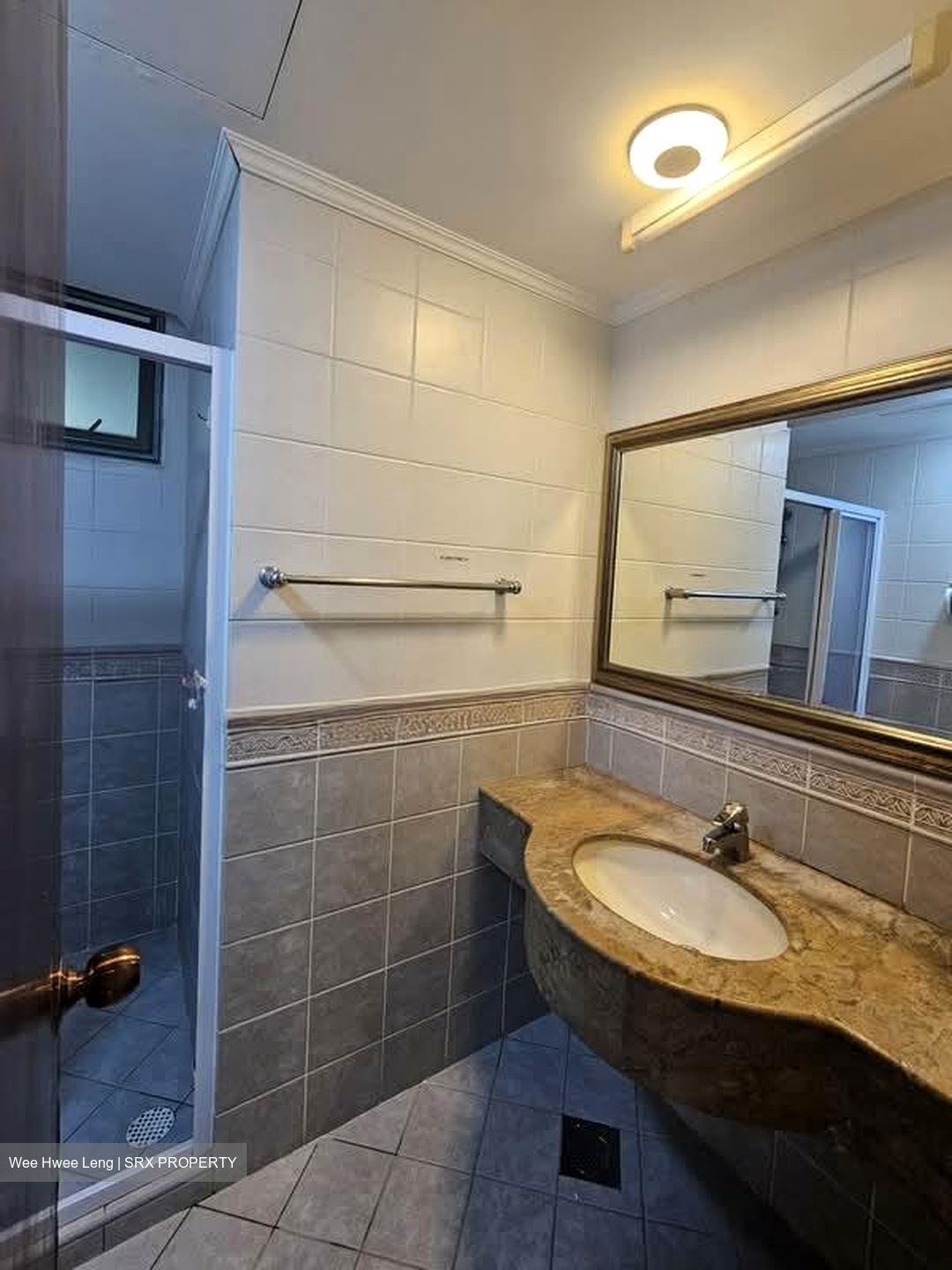 Parc Palais (D21), Condominium #598586151
